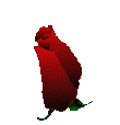 Fiore